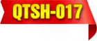Group-017